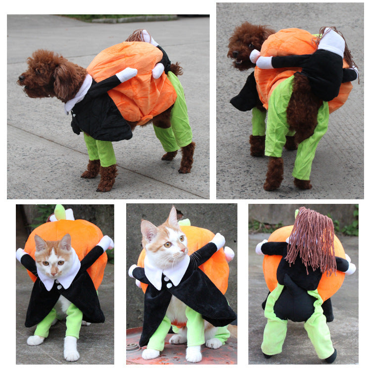 Pet Halloween costume