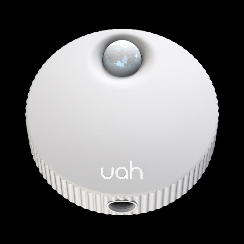 Litter Box Deodorizer