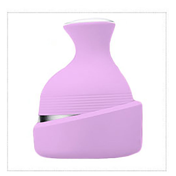 Household Pet Massager