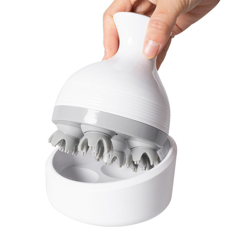 Household Pet Massager