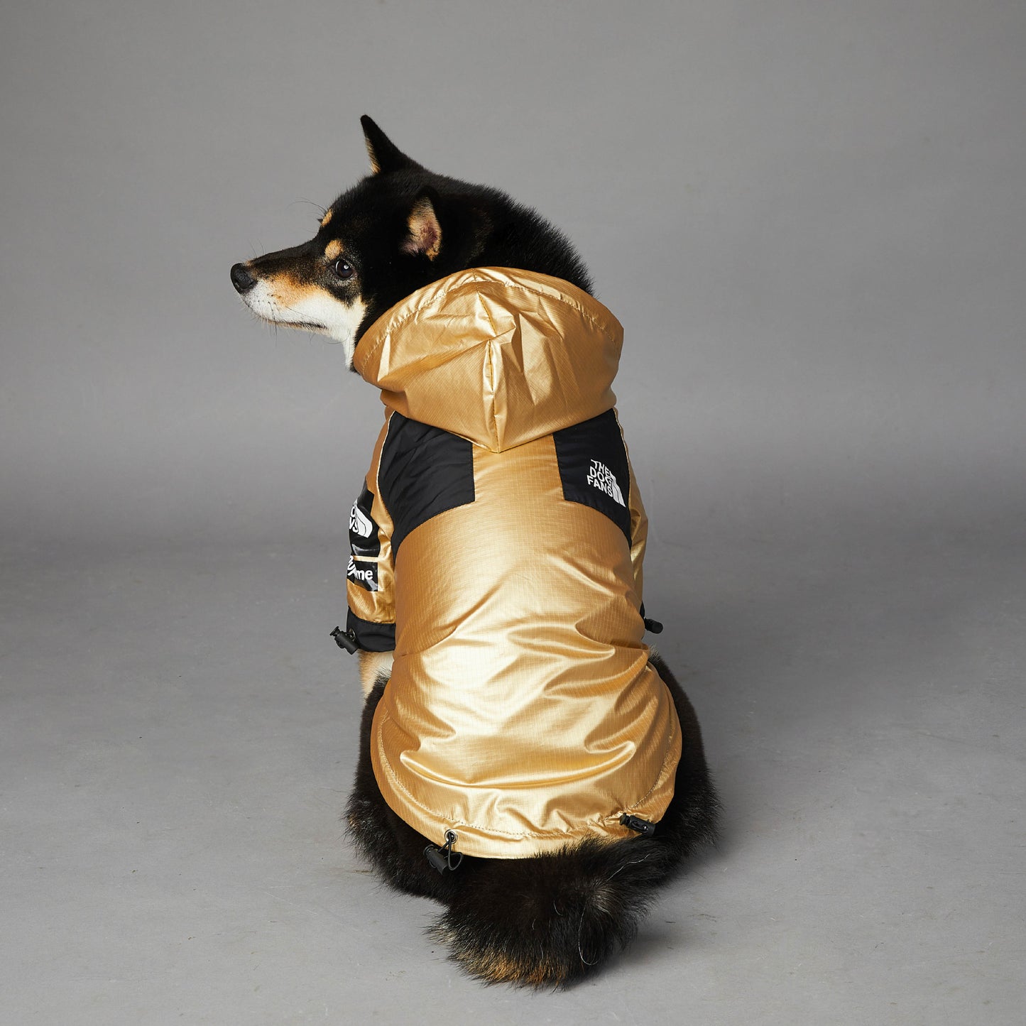 Large Raincoat Pet Jacket