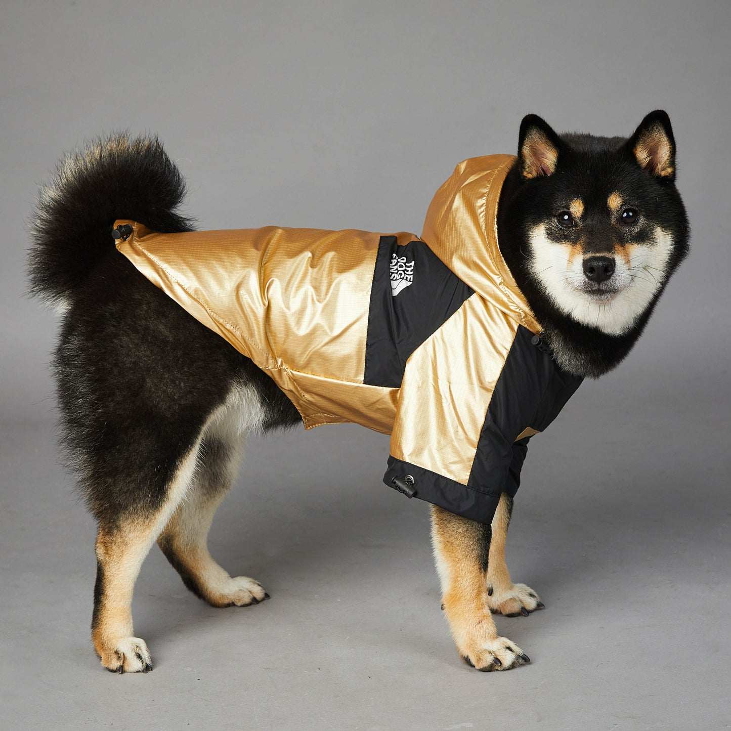 Large Raincoat Pet Jacket