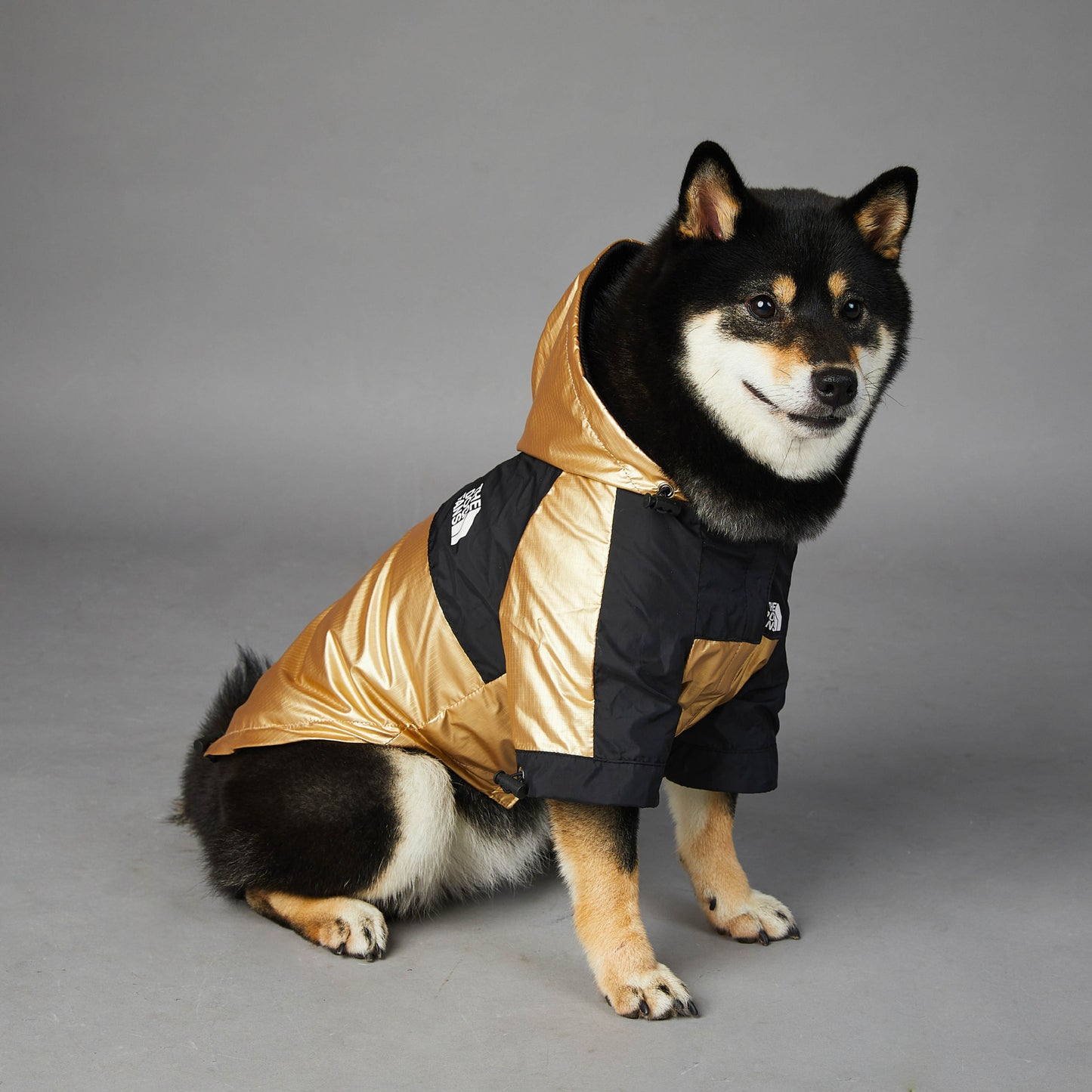 Large Raincoat Pet Jacket