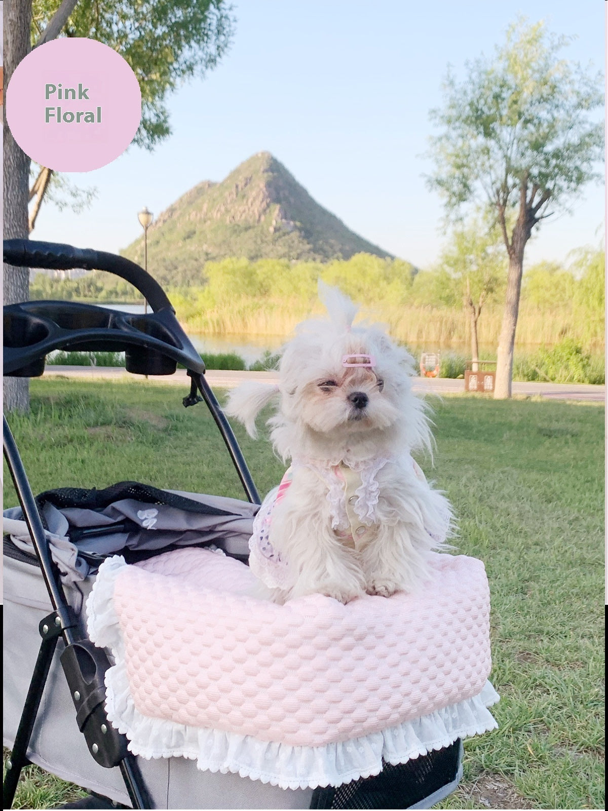 Pet Stroller